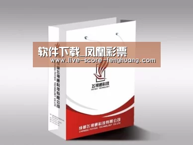 项目名称十三